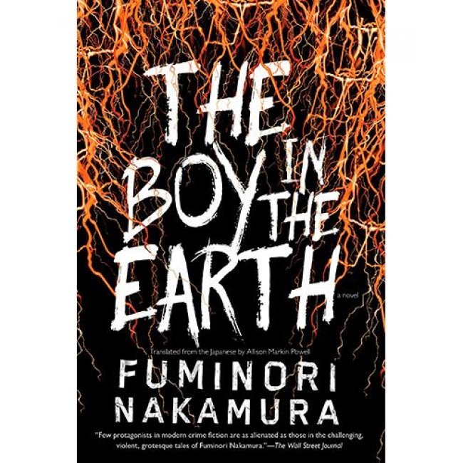 The boy in the earth