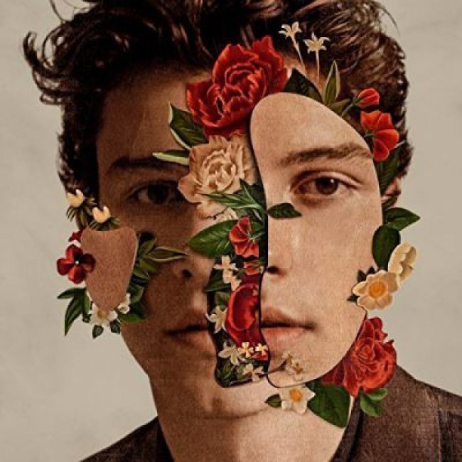 Shawn Mendes