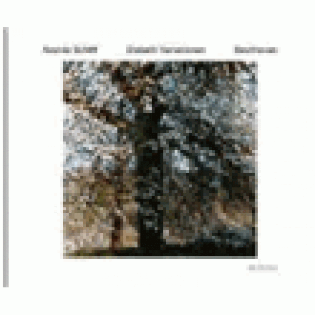 Beethoven: Diabelli-Variationen