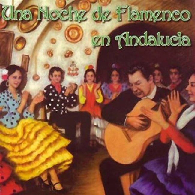 Una noche de flamenco en andalucia