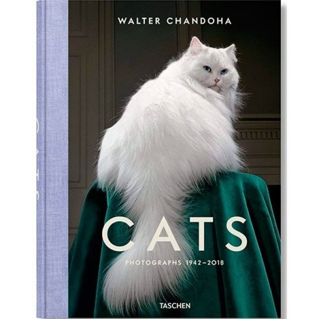 Walter chandoha-cats photographs 19