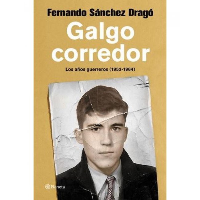 Galgo corredor Galgo corredor