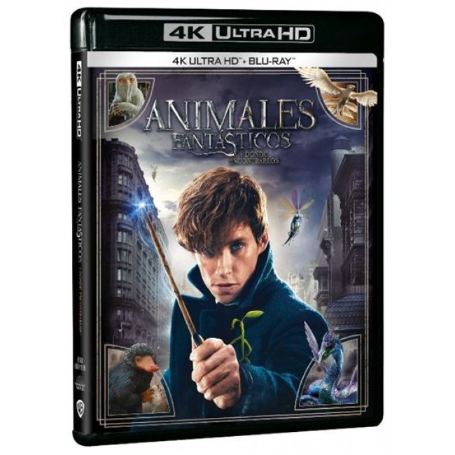 Animales Fantásticos y Dónde encontrarlos - UHD + Blu-ray