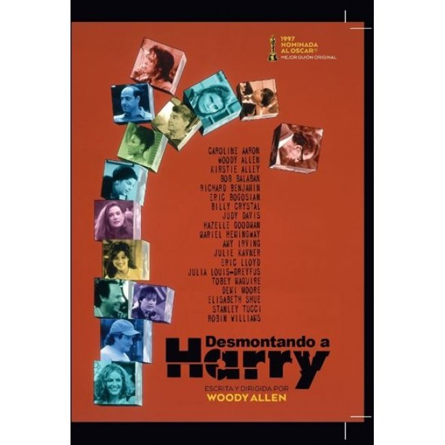 Desmontando A Harry - DVD