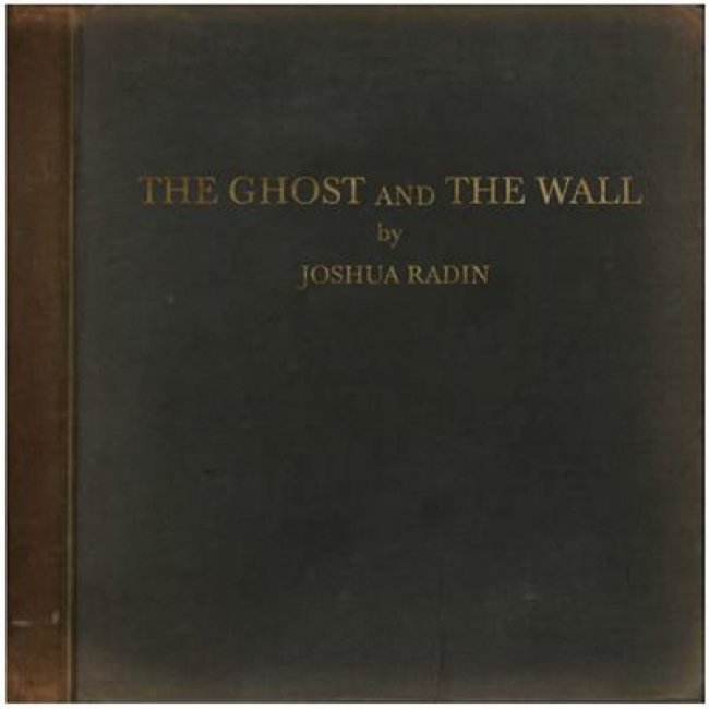 The Ghost And The Wall - Vinilo