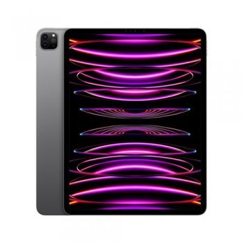 APPLE IPAD PRO 12.9/M2/WF/512 GRY APPLE IPAD PRO 12.9/M2/WF/512 GRY