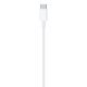 Cable Apple USB-C - Lightning 2 m Blanco