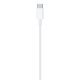 Cable Apple USB-C - Lightning 2 m Blanco