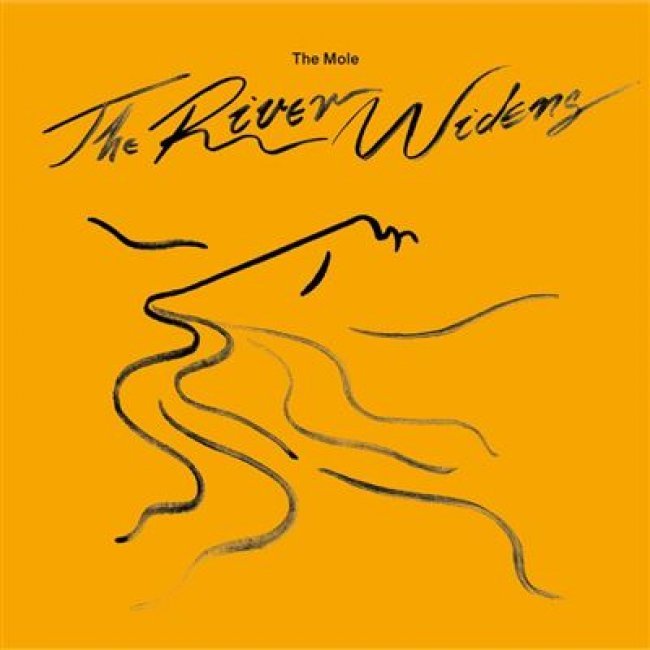The River Widens - 2 Vinilos