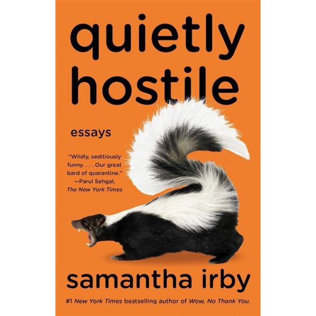 Quietly Hostile: Essays 