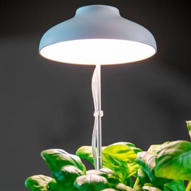 Luz de cultivo LED para plantas