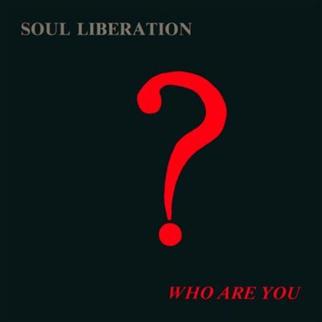Who Are You? - 2 Vinilos