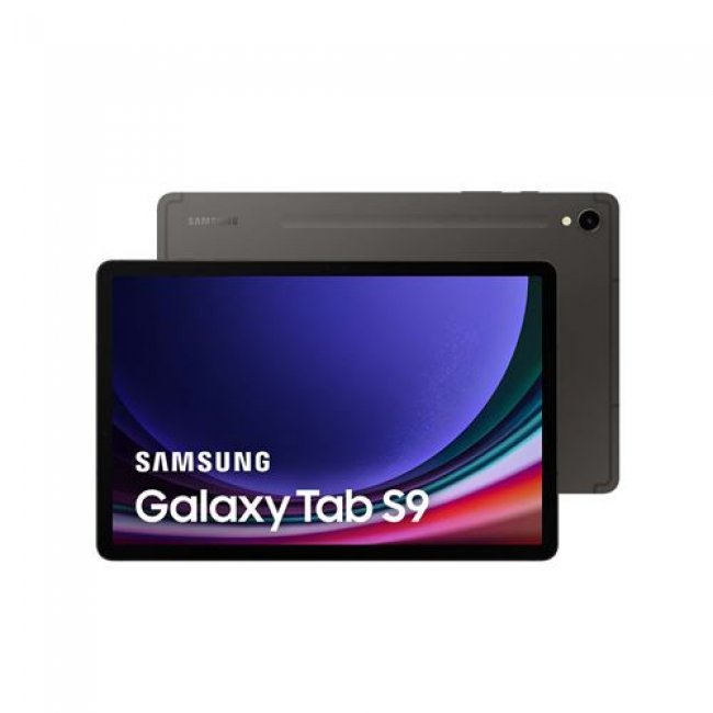 Samsung Galaxy Tab S9 11'' 256GB Wi-Fi Gris
