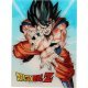 Póster vidrio Dragon Ball Z Goku Kamehameha 30c40cm