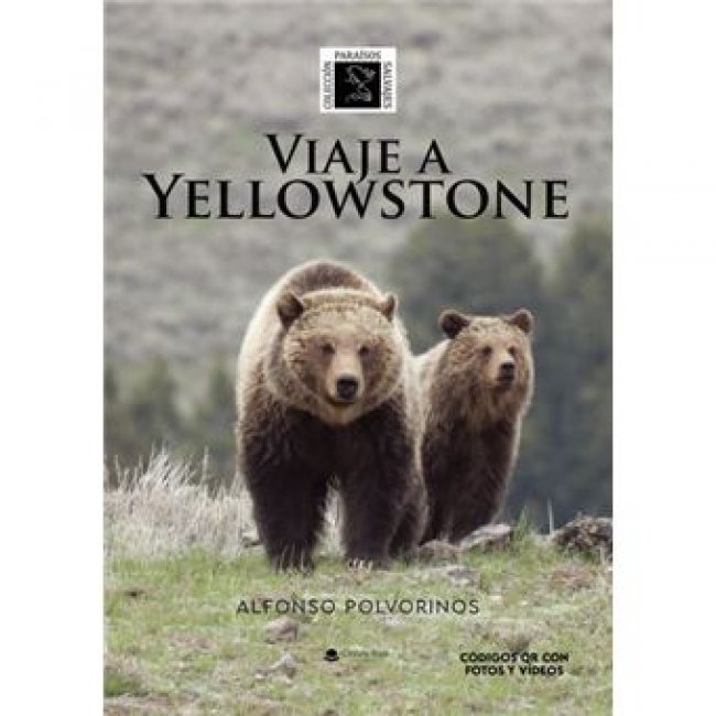 Viaje A Yellowstone