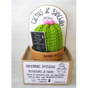 Cactus de ganchillo - Floripondilis Spreciosus