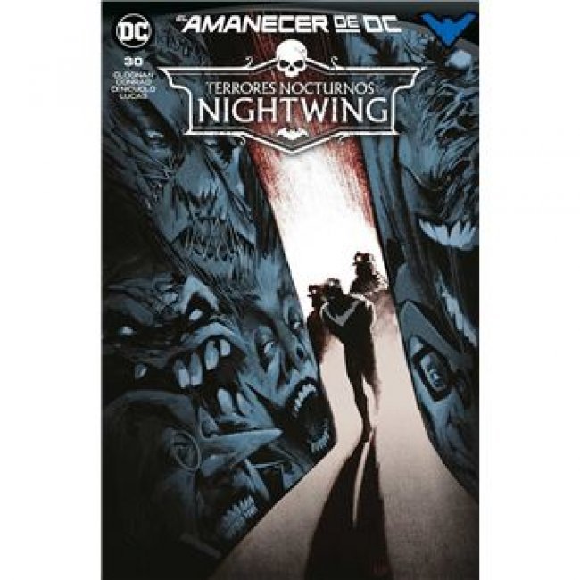 Nightwing 30
