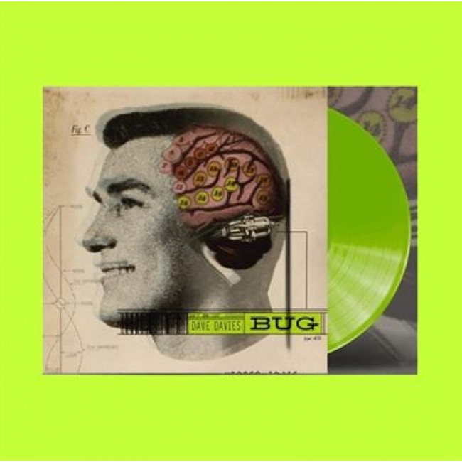 Lp-bug (2lp verde)