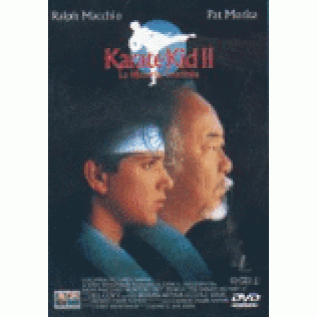Karate kid (parte 2)