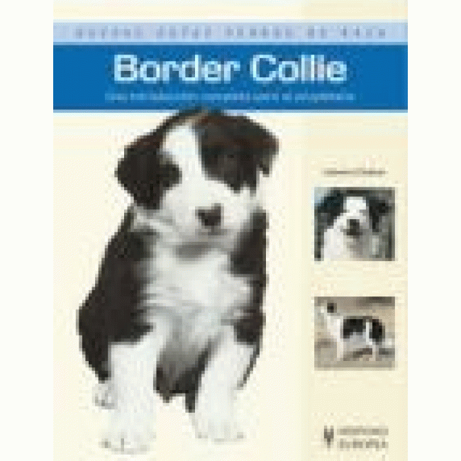 Border collie