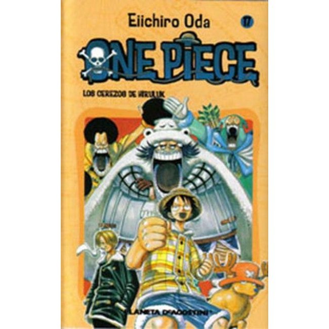 One piece 17
